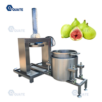 Vruchtensap Hydraulische Persmachine Rvs Home Commerciële Wijn Oranje Koude Pers Machine Extractor