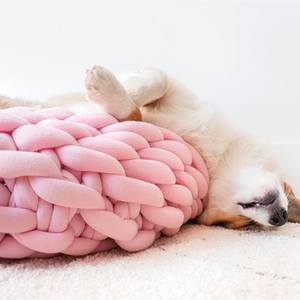 <span class=keywords><strong>Lit</strong></span> pour chien chat en polyester pp coton tressé innovant pour la fabrication à la main en gros - Product Image 4