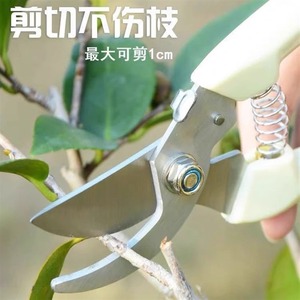 Tijeras de podar de acero inoxidable de 20-30 mm para árboles frutales, herramientas de jardinería - Product Image 4