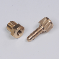 TUXING utilisation à long terme 1/8 4500psi 300bar 30mpa haute pression M10 acier inoxydable PCP compresseur d'air tuyau connecteur à filetage femelle