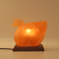 Lampe en sel de l'Himalaya faite à la main en forme d'animal, lampe artisanale en cristal naturel, décoration d'intérieur sur le thème de l'amour, Noël