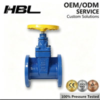 Válvula de Compuerta con Vástago Fijo y Brida - Hierro Dúctil, Disco EPDM, Sello de Latón para Suministro de Agua Industrial PN16