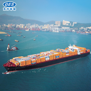直接海运最便宜的货运代理公司集装箱货运代理中国到美国 - Product Image 3