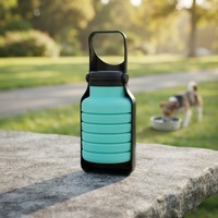Bouteille d'eau pliable moderne de 500 ml, réutilisable, sans BPA, sans danger pour les aliments, bol de voyage portable en silicone pour chien, pour la randonnée en plein air