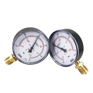 Medidor de pressão todo em aço inoxidável 111.10 Instrumentos Medidor de pressão do instrumento