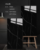 Matériaux de construction : carreaux de sol et de mur en céramique émaillée 120x60cm, aspect marbre, dalle de pierre pour salon