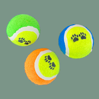 Jouets pour chiens en caoutchouc personnalisés avec logo imprimé sur mesure, pour l'entraînement et le jeu sur la plage, pour lancer et jouer
