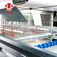 Cage à poulets de chair de type H, cage à batterie pour poulets de chair, 4 niveaux, galvanisée à chaud, ventilation haute densité, CE, bande à fumier, sol en plastique
