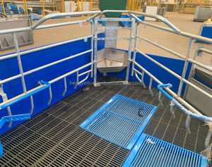 Gabbia per Parto Suini Stile Europeo per Suine da Allevamento |   Lettino da Parto Regolabile per Suini, per Allevamenti di Maiali - Product Image 1