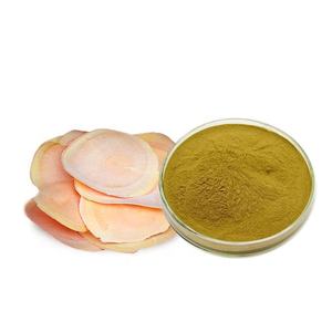 Estratto in Polvere di Alta Qualità di Eurycoma Longifolia Jack / Estratto Erboristico di <span class=keywords><strong>Tongkat</strong></span> <span class=keywords><strong>Ali</strong></span> / <span class=keywords><strong>P.E.</strong></span> di <span class=keywords><strong>Tongkat</strong></span> <span class=keywords><strong>Ali</strong></span> <span class=keywords><strong>Tongkat</strong></span> <span class=keywords><strong>ali</strong></span> - Product Image 3