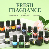 15 Parfums MEJISOO – Huile Essentielle Aromatique Hydrosoluble pour l'Intérieur – Purificateur d'Air Sans Flamme – Huile Essentielle Végétale pour Aromathérapie