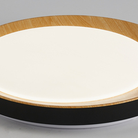Lampu tipe baru Modern kecerahan tinggi lampu kamar tidur sederhana ruang tamu ruang makan 24W 39W lampu langit-langit LED