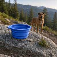 Bol pliable pour chien en silicone de qualité alimentaire, abreuvoir de voyage pliable pour animaux de compagnie avec mousqueton pour le camping en plein air, la randonnée et les chiens