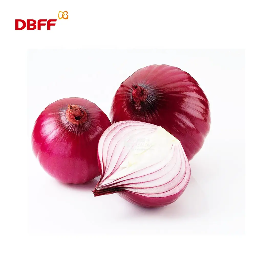 factory supply onion flavor for instant food and cracker