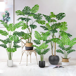 <span class=keywords><strong>Plante</strong></span> artificielle décorative d'intérieur en pot de <span class=keywords><strong>Monstera</strong></span> Bonsai Tree panaché Deliciosa pour un design élégant - Product Image 1