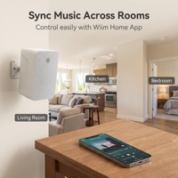 Enceinte intelligente étanche, synchronisation musicale, contrôle facile via l'application Wiim Home, design IPX, puissance de sortie 30-50W, sans microphone intégré