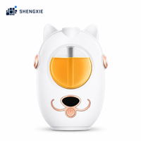 Diffuseur d'arômes USB 60 ml avec 6 modes de brume, humidificateur portable de type C pour bureau, diffuseur d'huiles essentielles pour la maison