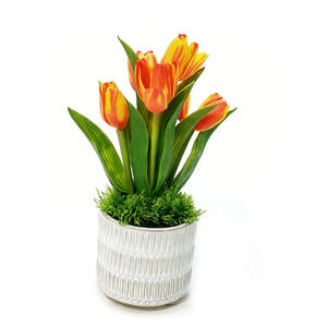<span class=keywords><strong>Prix</strong></span> de gros, petite tulipe artificielle chic dans un <span class=keywords><strong>pot</strong></span> <span class=keywords><strong>en</strong></span> céramique, fleurs artificielles, tulipe pour une décoration de bureau mignonne - Product Image 6