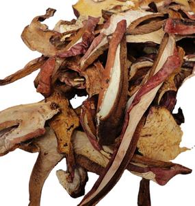 Setas secas salvajes <span class=keywords><strong>Boletus</strong></span> Speciosus Frost <span class=keywords><strong>Boletus</strong></span> Queletiischulz para alimentos - Product Image 1