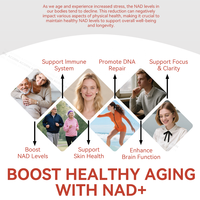 ACORN Private Label Suppléments NAD Boisson Soutien Énergétique Saveur de Baies NAD + Boisson Nicotinamide 1000mg pour Adulte