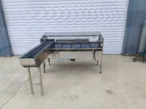 Trieuse de pouletins et d'œufs de cane avec détection par la lumière pour œufs à odeur de putréfaction - Product Image 6