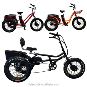Single version electric cargo tricycle bike 3 wheels for adults