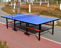 Table de tennis de table professionnelle d'extérieur pliable SMC étanche