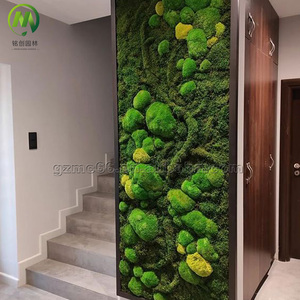 Panel de Musgo Preservado Ecológico Evergreen para Decoración, Hecho a Mano, Tamaño Personalizado, Pared Verde, Musgo Real de Aspecto Natural y Artístico - Product Image 4