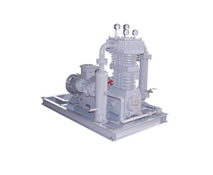 เครื่องอัดก๊าซ LPG แบบพกพาขนาดเล็กสำหรับการไหลเวียนสารเคมี ปราศจากการรั่วไหล จัดส่งโดยตรงจากผู้ผลิต BT4 - Product Image 4