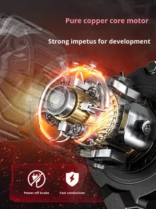 Grúa Hidráulica Eléctrica Pequeña de 12V/24V/<span class=keywords><strong>220V</strong></span> para Uso Doméstico - Product Image 2