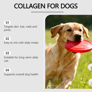 Gouttes de collagène pour chiens avec acide hyaluronique et biotine 60 ml – Soin quotidien pour le confort articulaire – Complément pour toutes les saisons – Nouvel An - Product Image 5
