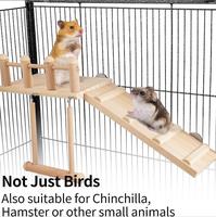 Vente en gros Oiseaux Jouet Perroquet Balançoire en bois Combinaison Jouet Échelle Hamac Décoration Maison Oiseaux