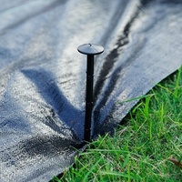 Tapis anti-mauvaises herbes en PP tissé, résistant aux UV, usage intensif, direct usine, pour l'agriculture et l'aménagement paysager, en rouleau
