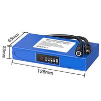 Paket Baterai Polimer Lithium-Ion 12V 8000mAh dengan Tampilan Daya & Kabel DC - Kapasitas Tinggi untuk Perangkat Portabel