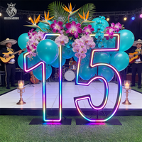 Décoration d'anniversaire 15 ans, enseigne néon numérique, lettres lumineuses 3ft 4ft 5ft, XV 15 Ans, décoration pour souvenirs de fêtes de 15 ans