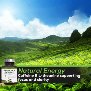 100% tự nhiên hữu cơ tươi và nhà máy chiết xuất từ lá nhà máy chiết xuất trà xanh chiết xuất bột viên nang - Product Image 5