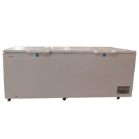 Congélateurs horizontaux pour supermarchés, vitrine de présentation pour aliments surgelés, congélateur pour glaces