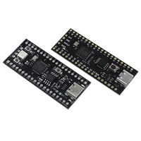 Carte de développement Raspberry Pi YD-RP2040 compatible avec la carte mère microcontrôleur double cœur Raspberry Pi PICO