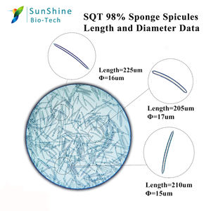 Esponjas de agua dulce, producto en oferta, muestra gratis - Product Image 5