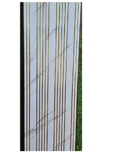 Panneaux muraux intérieurs en PVC cannelé Golden Line, épaisseur 10 mm, largeur 300 mm, longueur 2500 mm, personnalisables, décoratifs et design. - Product Image 1
