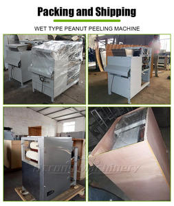 Máquina peladora húmeda automática de almendras y cacahuetes, precio - Product Image 5