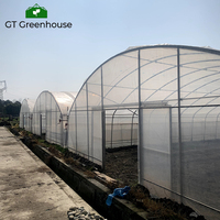 Serre d'extérieur GT, structure de serre en plastique, agriculture commerciale, à vendre