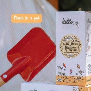 งานฝีมือแฮนด์เมดในร่มชุดระเบิด semilla Hello Daisy Meadow 3 X - Product Image 2