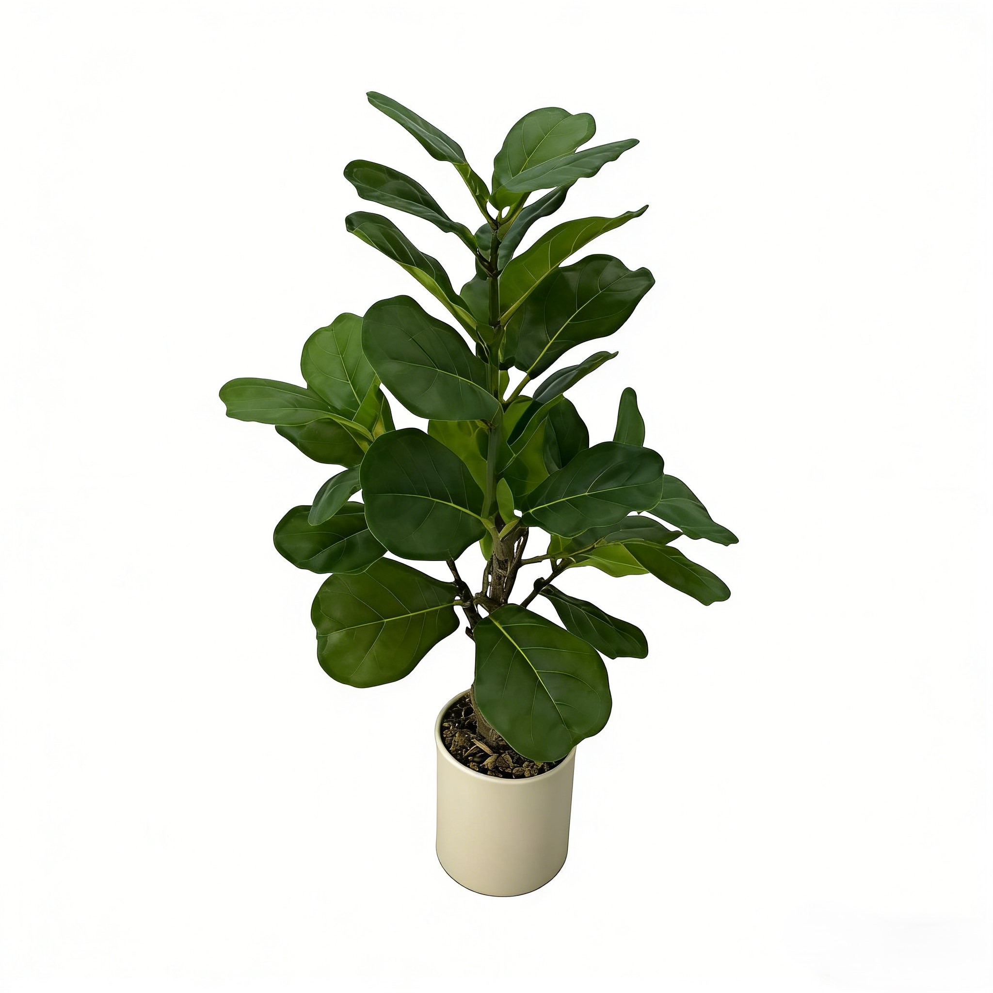 สีเขียว