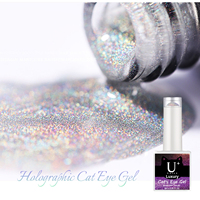 Vernis gel holographique oeil de chat magnétique paillettes 9d aimant acrylique vernis à ongles nuancier