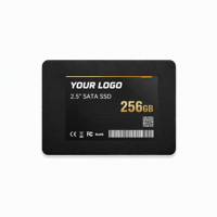 Disque dur interne SSD SATA 2,5 pouces 256 Go 6 Gbps SATA3 pour ordinateur portable, ordinateur de bureau, serveur NAS, logo personnalisé OEM