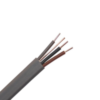 BS6004 Twin Flat Fire Kabel mit Erdung 6242Y 2,5mm Elektrokabel BVVB RVVB TPS CE PVC Elektrisches Kupfer Grau Twin Earth Kabel