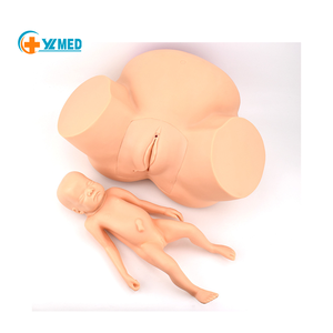 Modelo de Enseñanza de Distroficia Humana a Tamaño Real, Simulador de Parto, Primeros Auxilios, Parto Neonatal, Emergencia, ISO/CE Médico - Product Image 1