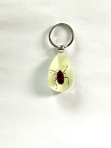 Porte-clés en résine de haute qualité, scintillant dans l'obscurité, porte-clé, cisaille, crabe, insecte rouge, pièces - Product Image 6