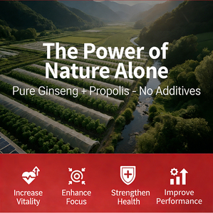 Stock disponible OEM ODM Bandes orales de ginseng rouge et propolis 10 pièces – Soutient l'énergie, aide à soulager la fatigue et favorise le bien-être corporel pour adultes - Product Image 2